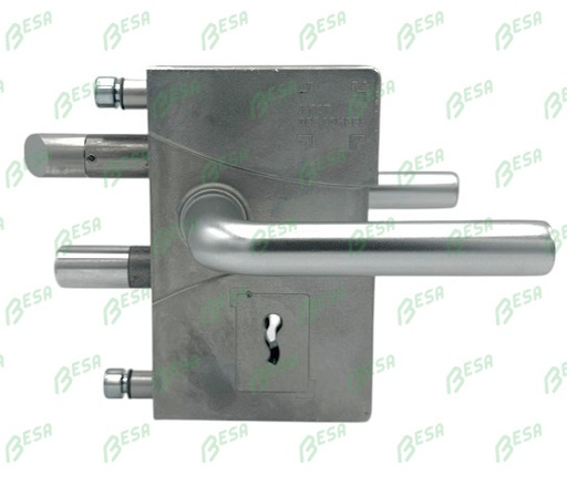 JACOT DES COMBES 101 POORTSLOT MET BONTEBAARDSLEUTEL VOOR ROND PROFIEL